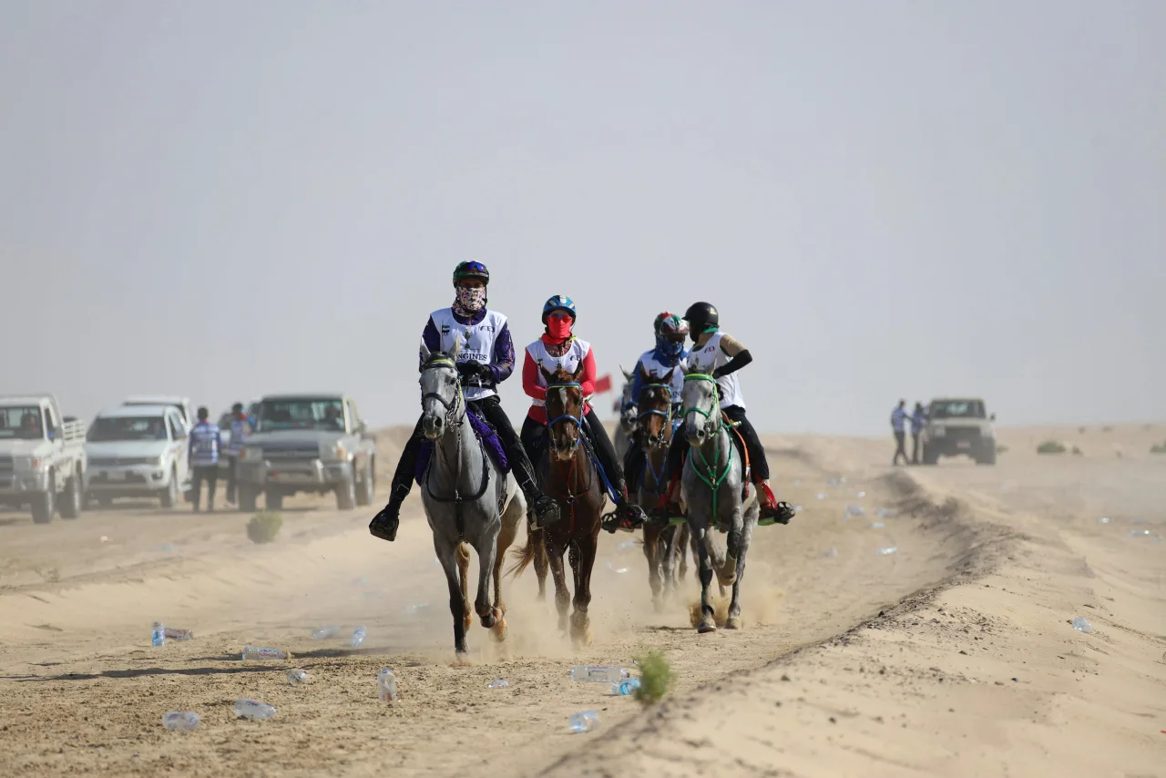 Courses d'endurance